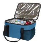 HALFAR® koeltas FAMILY XL gevuld cyan - Hidalgo Halfar custom logo cooler bag | XL promotional thermal — product photo 26
