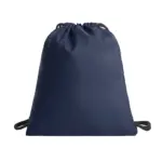 Halfar promotional drawstring bag: custom rpet care gym sack.