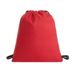 Halfar promotional drawstring bag: custom rpet care gym sack.