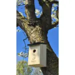 Birdhouse vogelhuisje — productfoto 2