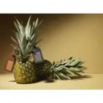Vegan Pineapple Leather Luggage Tag — productfoto 2