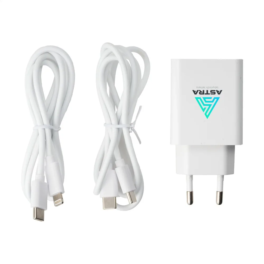 2-in-1 RCS Cable Charging Set oplaadset