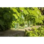 Sevilla Stapelbaar Gerecycled Waterglas 270 ml — productfoto 4