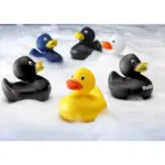 LittleDuck badeend — productfoto 2