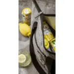 Feltro GRS RPET CoolShopper koeltas — productfoto 2