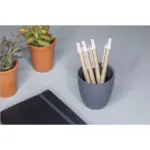 Paper Wheatstraw Pen tarwestro pennen — productfoto 4