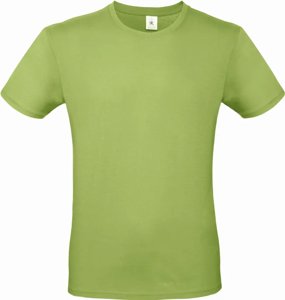 #E150 Men's T-shirt, pistachio — productfoto 37