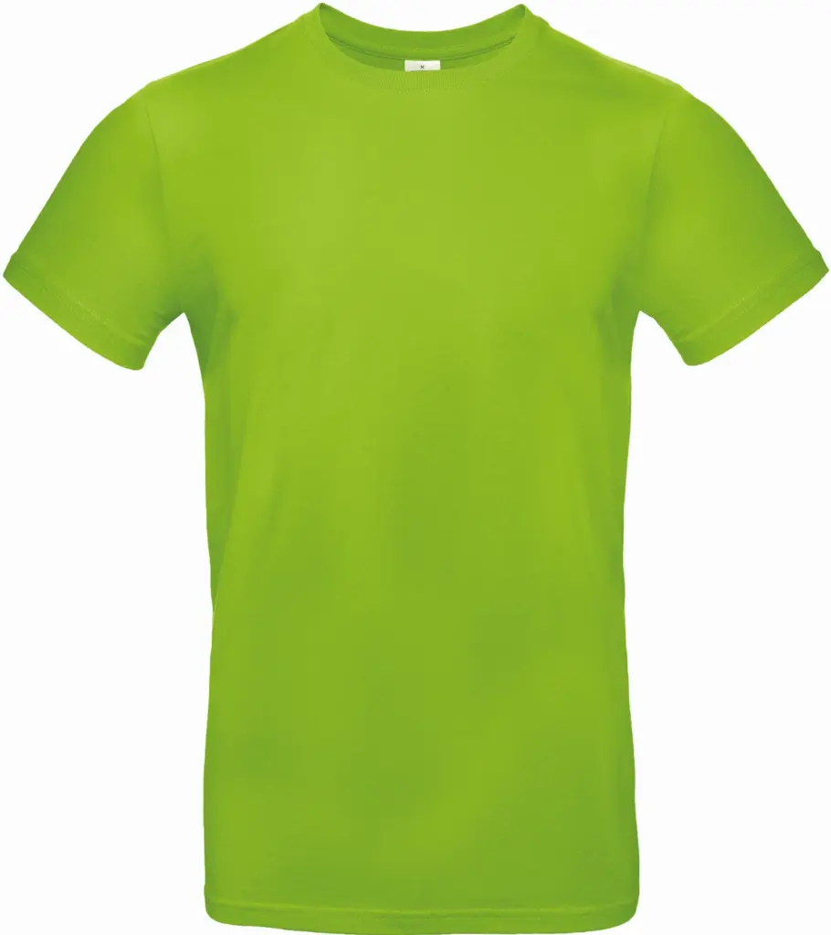 #E190 Men's T-shirt, orchid green — productfoto 49