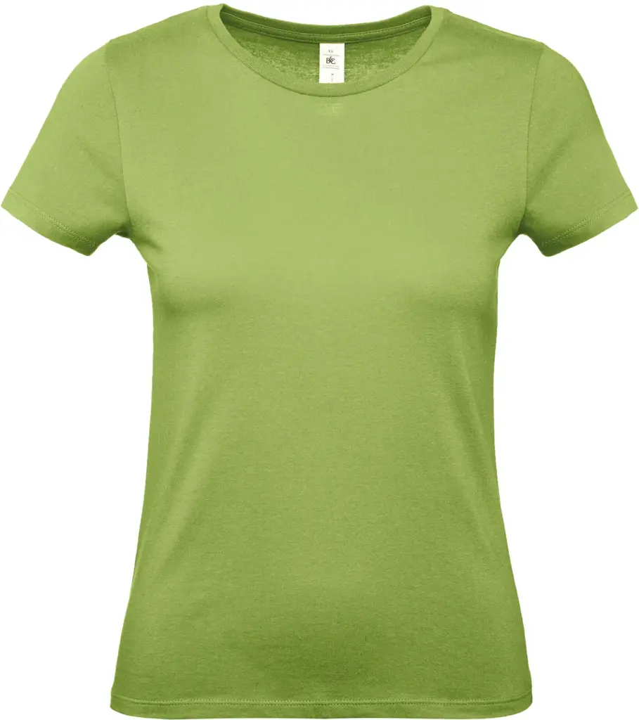 #E150 Ladies' T-shirt, pistachio — productfoto 31