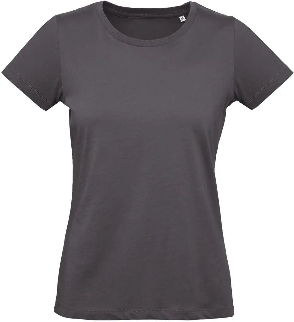 PS_CGTW049_DARKGREY - Hidalgo Inspire Plus Ladies' organic T-shirt, dark grey — productfoto 10