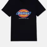 Heren-t-shirt DENISON (DT6010), black