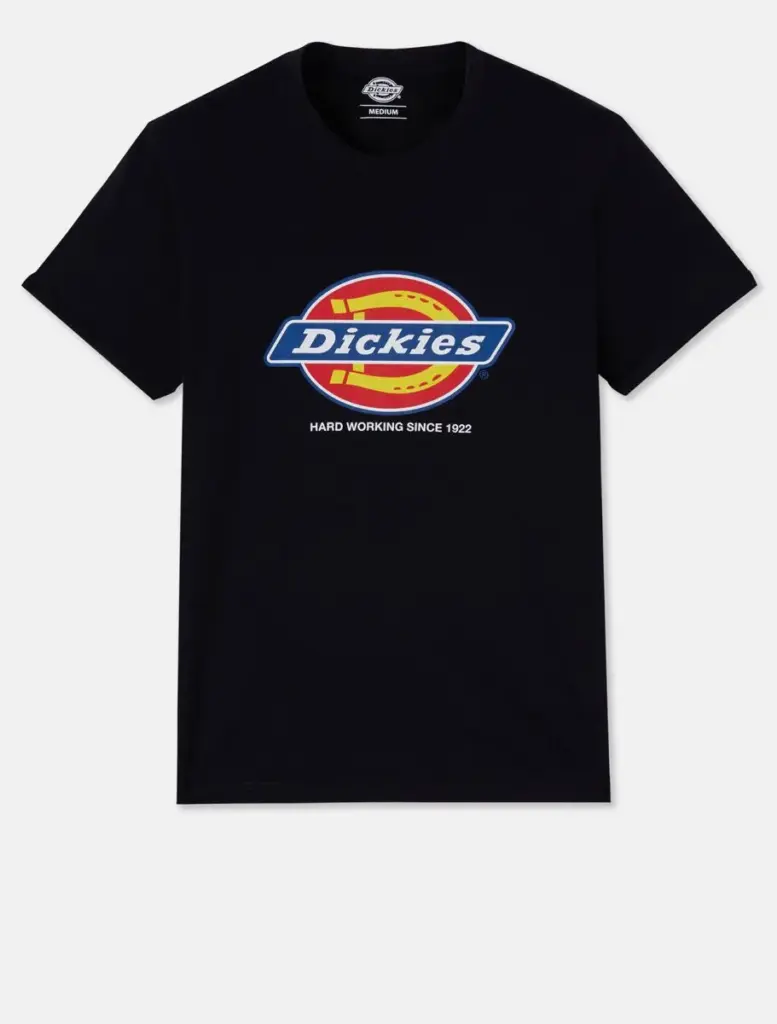 Heren-t-shirt DENISON (DT6010), black