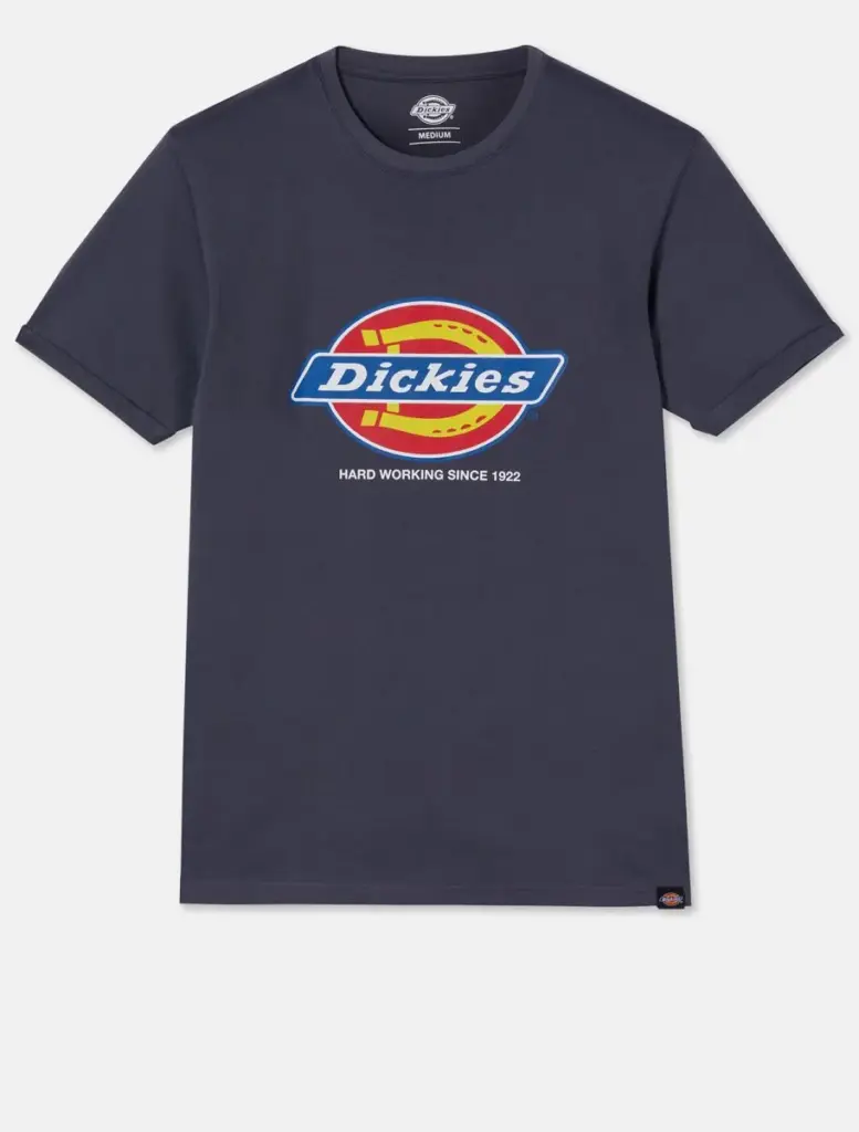 Heren-t-shirt DENISON (DT6010), grey — productfoto 2