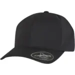 Pet Delta Snapback, black — productfoto 2