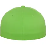 Pet Flexfit Wooly Combed, fresh green — productfoto 51