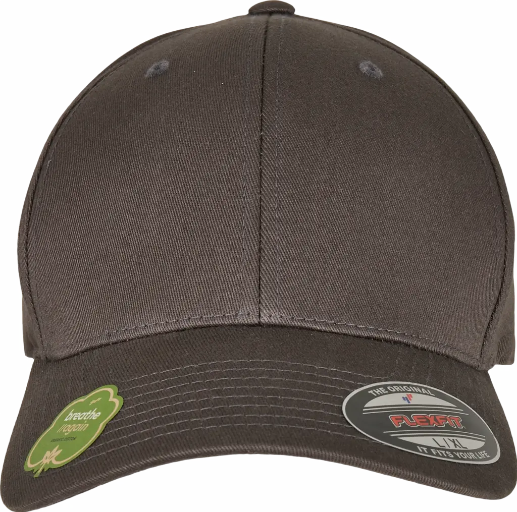 Pet Flexfit van biologisch katoen, dark grey — productfoto 16