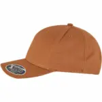 Curved Snapback-pet