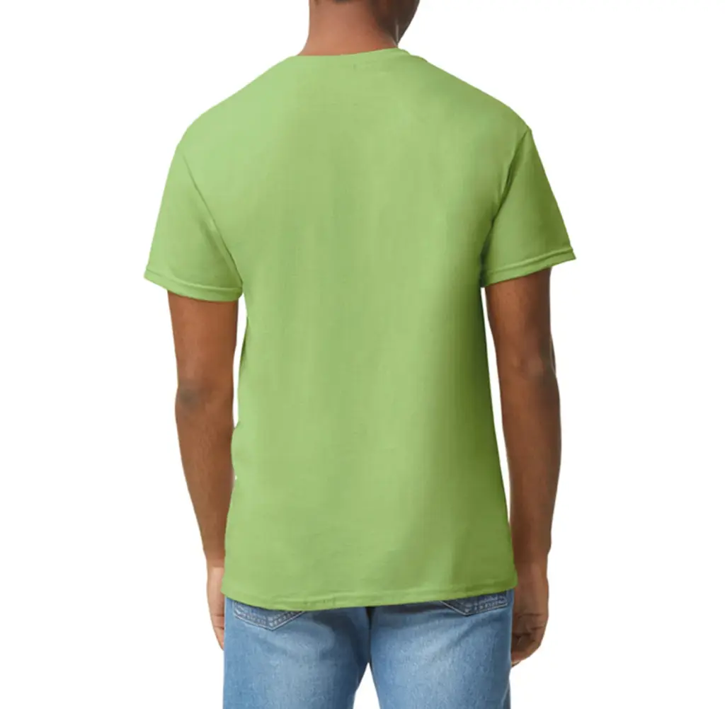 Heavy Cotton™Classic Fit Adult T-shirt, kiwi — productfoto 40