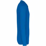 Piqué-herenpolo lange mouwen, light royal blue — productfoto 21