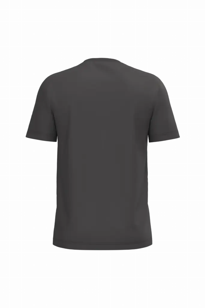 PS_K3025IC-B_DARKGREY - Hidalgo Heren T-shirt Bio150 IC, dark grey — productfoto 29