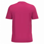 PS_K3025IC-B_FUCHSIA - Hidalgo Heren T-shirt Bio150 IC, fuchsia — productfoto 47