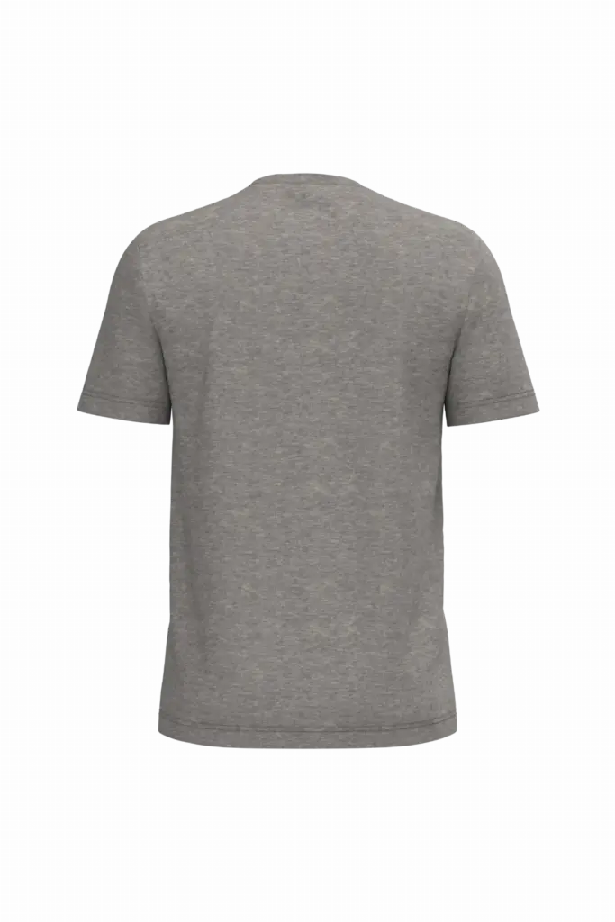 PS_K3025IC-B_GREYHEATHER - Hidalgo Heren T-shirt Bio150 IC, grey heather — productfoto 53