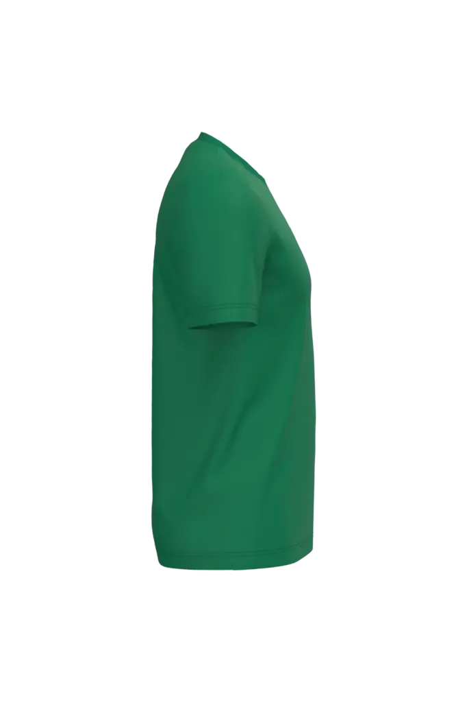 PS_K3025IC-S_KELLYGREEN - Hidalgo Heren T-shirt Bio150 IC, kelly green — productfoto 57