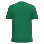 PS_K3025IC-B_KELLYGREEN - Hidalgo Heren T-shirt Bio150 IC, kelly green — productfoto 59