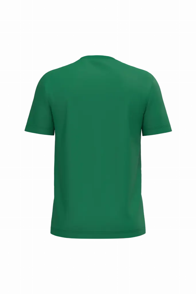 PS_K3025IC-B_KELLYGREEN - Hidalgo Heren T-shirt Bio150 IC, kelly green — productfoto 59