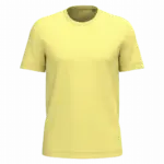PS_K3025IC_LEMONYELLOW - Hidalgo Heren T-shirt Bio150 IC, lemon yellow — productfoto 61
