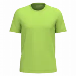 PS_K3025IC_LIME - Hidalgo Heren T-shirt Bio150 IC, lime — productfoto 70