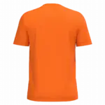 PS_K3025IC-B_ORANGE - Hidalgo Heren T-shirt Bio150 IC, orange — productfoto 77