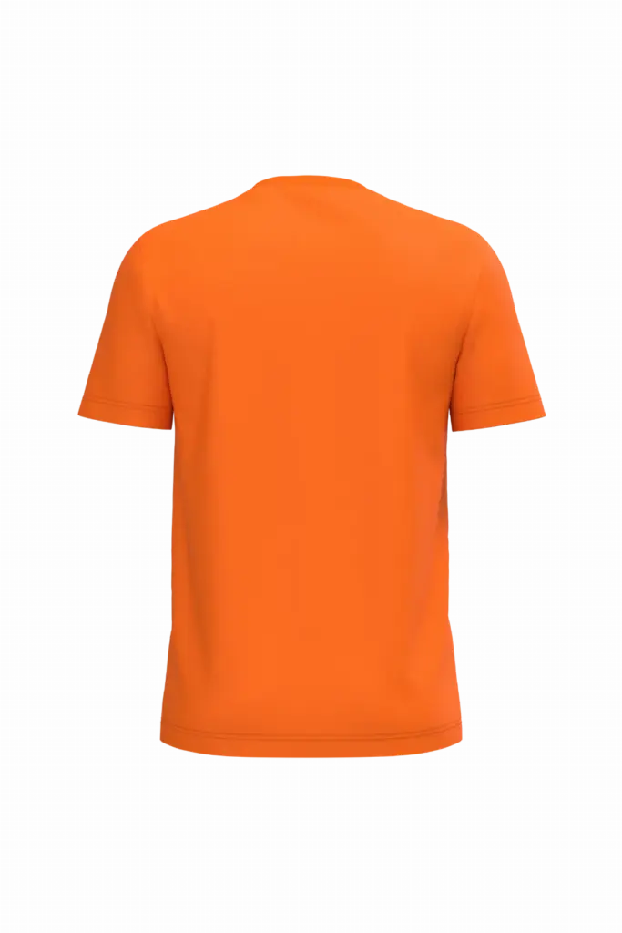 PS_K3025IC-B_ORANGE - Hidalgo Heren T-shirt Bio150 IC, orange — productfoto 77