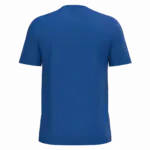 PS_K3025IC-B_ROYALBLUE - Hidalgo Heren T-shirt Bio150 IC, royal blue — productfoto 89