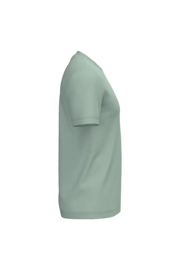 PS_K3025IC-S_SAGE - Hidalgo Heren T-shirt Bio150 IC, sage — productfoto 90