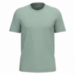 PS_K3025IC_SAGE - Hidalgo Heren T-shirt Bio150 IC, sage — productfoto 91