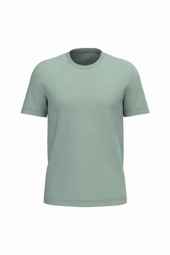 PS_K3025IC_SAGE - Hidalgo Heren T-shirt Bio150 IC, sage — productfoto 91