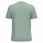 PS_K3025IC-B_SAGE - Hidalgo Heren T-shirt Bio150 IC, sage — productfoto 92