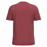 PS_K3025IC-B_TERRACOTTARED - Hidalgo Heren T-shirt Bio150 IC, terracotta red — productfoto 104