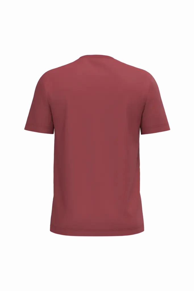 PS_K3025IC-B_TERRACOTTARED - Hidalgo Heren T-shirt Bio150 IC, terracotta red — productfoto 104