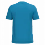 PS_K3025IC-B_TROPICALBLUE - Hidalgo Heren T-shirt Bio150 IC, tropical blue — productfoto 107