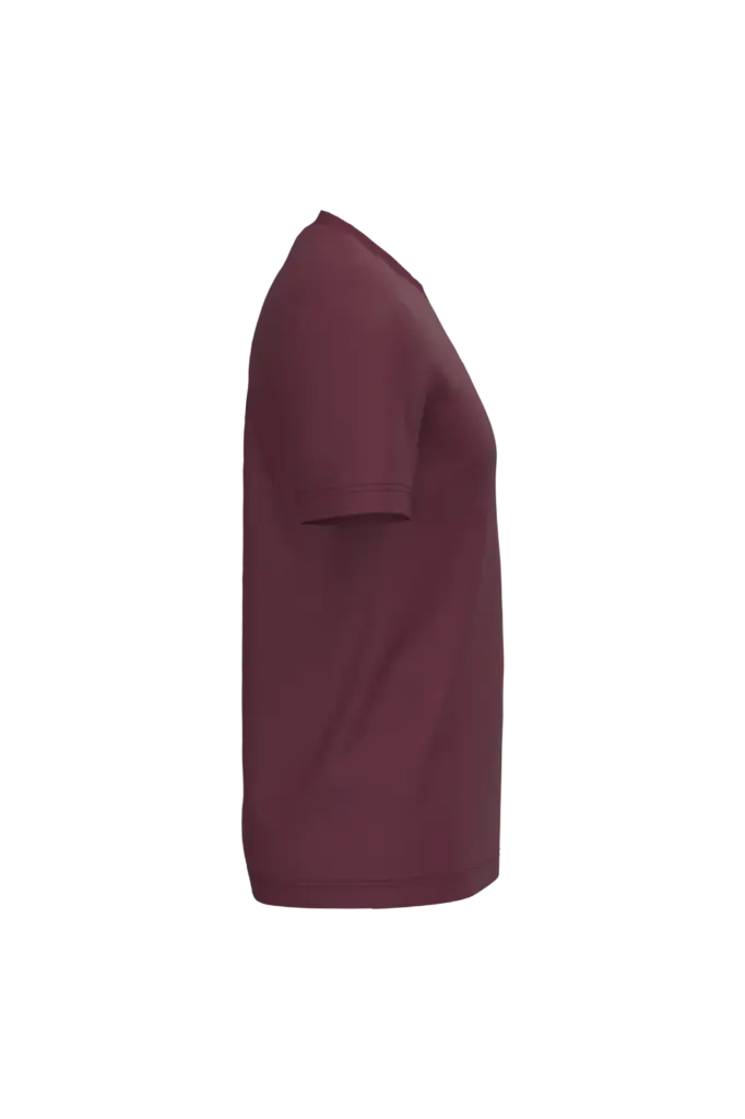 PS_K3025IC-S_WINE - Hidalgo Heren T-shirt Bio150 IC, wine — productfoto 114