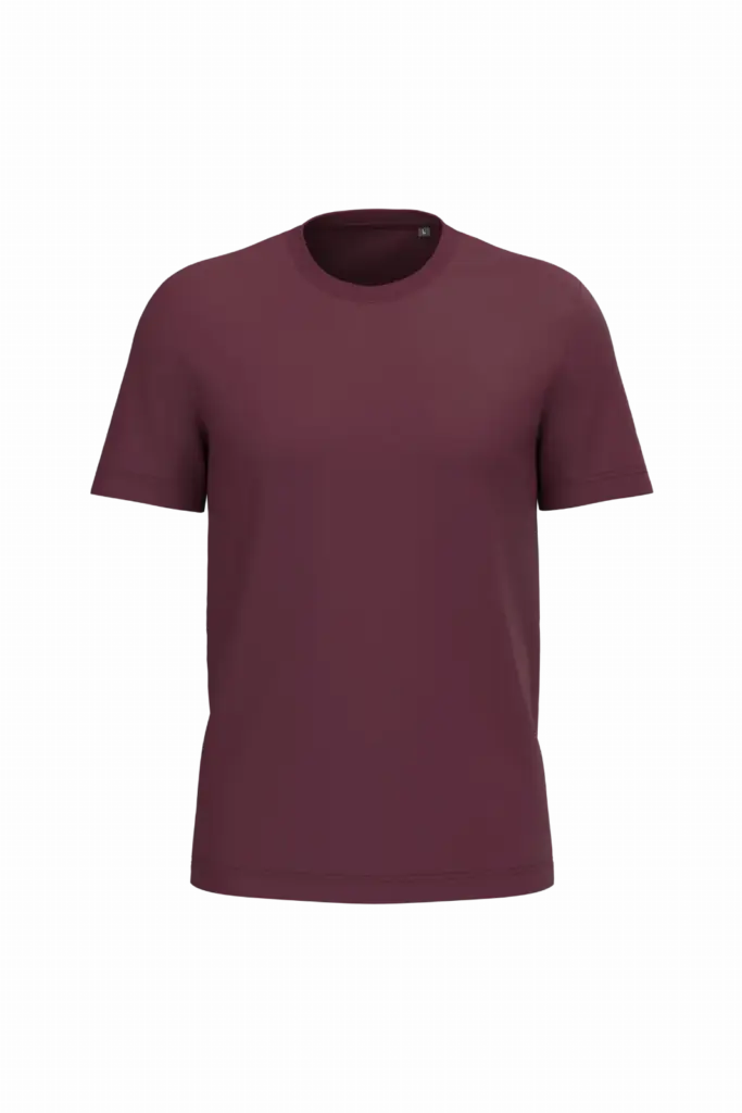 PS_K3025IC_WINE - Hidalgo Heren T-shirt Bio150 IC, wine — productfoto 115