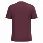 PS_K3025IC-B_WINE - Hidalgo Heren T-shirt Bio150 IC, wine — productfoto 116