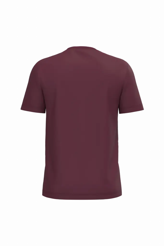 PS_K3025IC-B_WINE - Hidalgo Heren T-shirt Bio150 IC, wine — productfoto 116