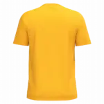 PS_K3025IC-B_YELLOW - Hidalgo Heren T-shirt Bio150 IC, yellow — productfoto 122