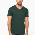 Heren-T-shirt BIO150 IC V-hals