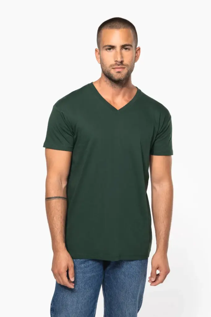 Heren-T-shirt BIO150 IC V-hals