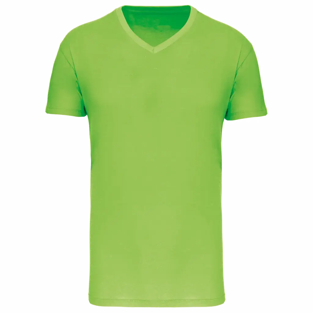 Heren-T-shirt BIO150 IC V-hals — productfoto 23