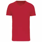 Heren-T-shirt BIO150 IC V-hals, red — productfoto 29